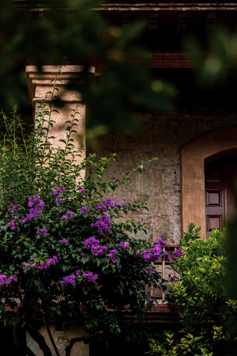 Patio, Oaxaca, Mexico