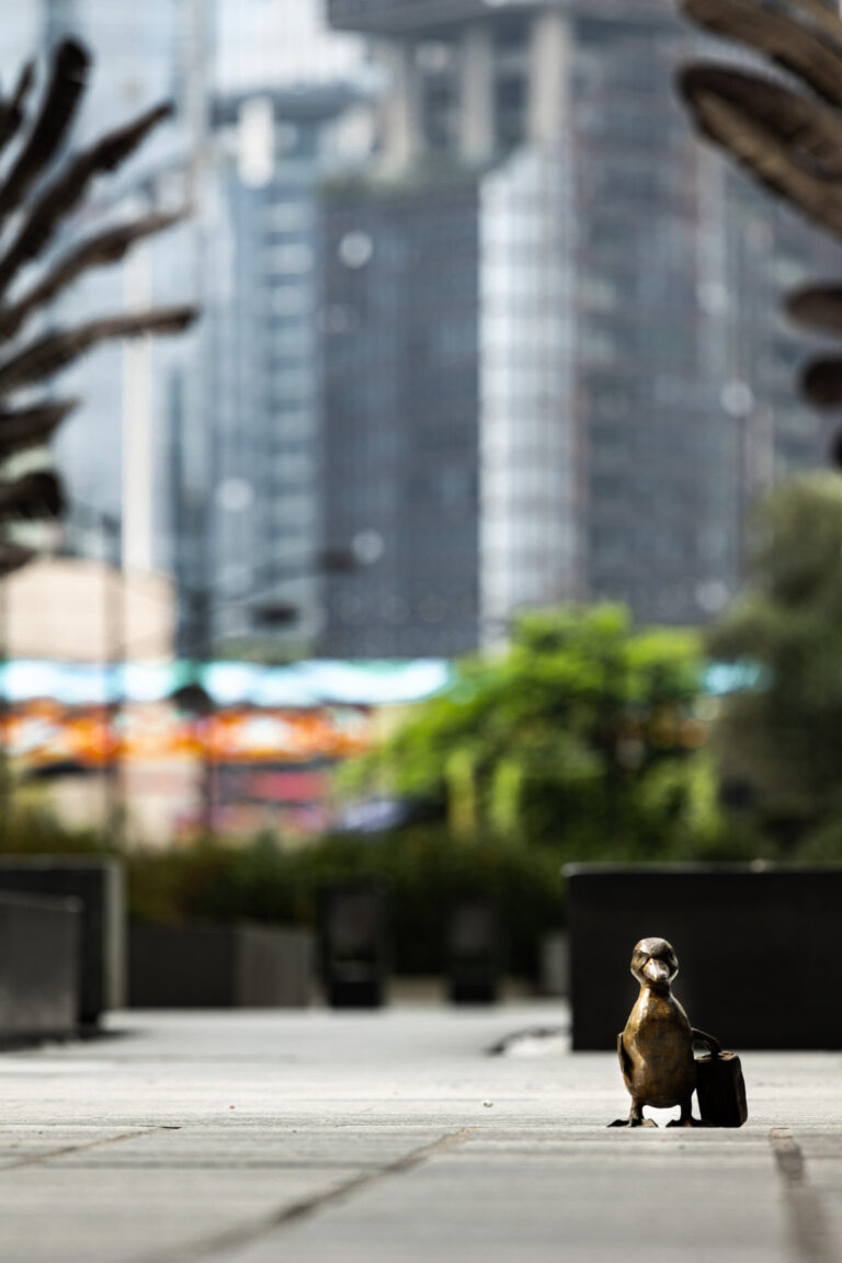 Welcome visitors, Guadalajara, Jalisco